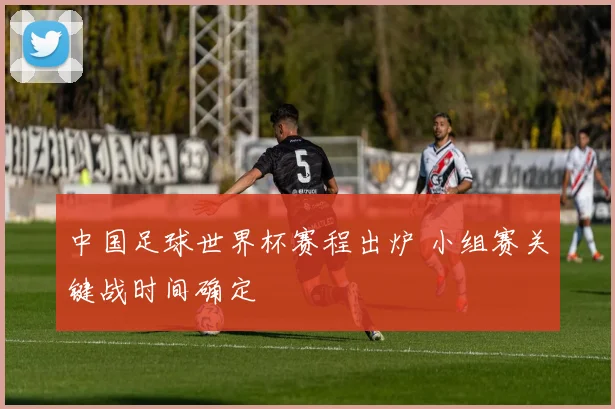中国足球世界杯赛程出炉 小组赛关键战时间确定